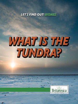 cover image of What Is the Tundra?